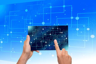 星空体育下载-NBA联盟品牌资产价值提升路径研究，nba联盟logo设计理念分析