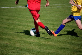 星空体育平台官网-篮球训练计划科学制定及执行效果跟踪研究，简述篮球训练计划制定步骤